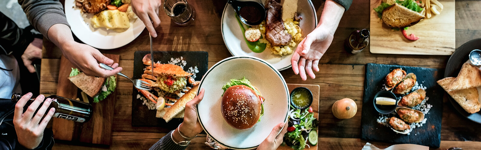 Del Toros - Nosotros